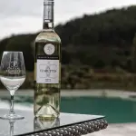 Strada del vino e dei sapori in Friuli Venezia Giulia: tappe da non perdere