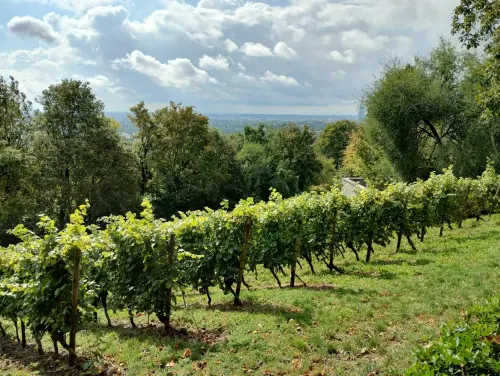 Preval, escursione di Legambiente il 16 maggio nel Collio