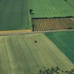 Fvg, nuovi aiuti per agricoltura e pesca contro la crisi mediorientale