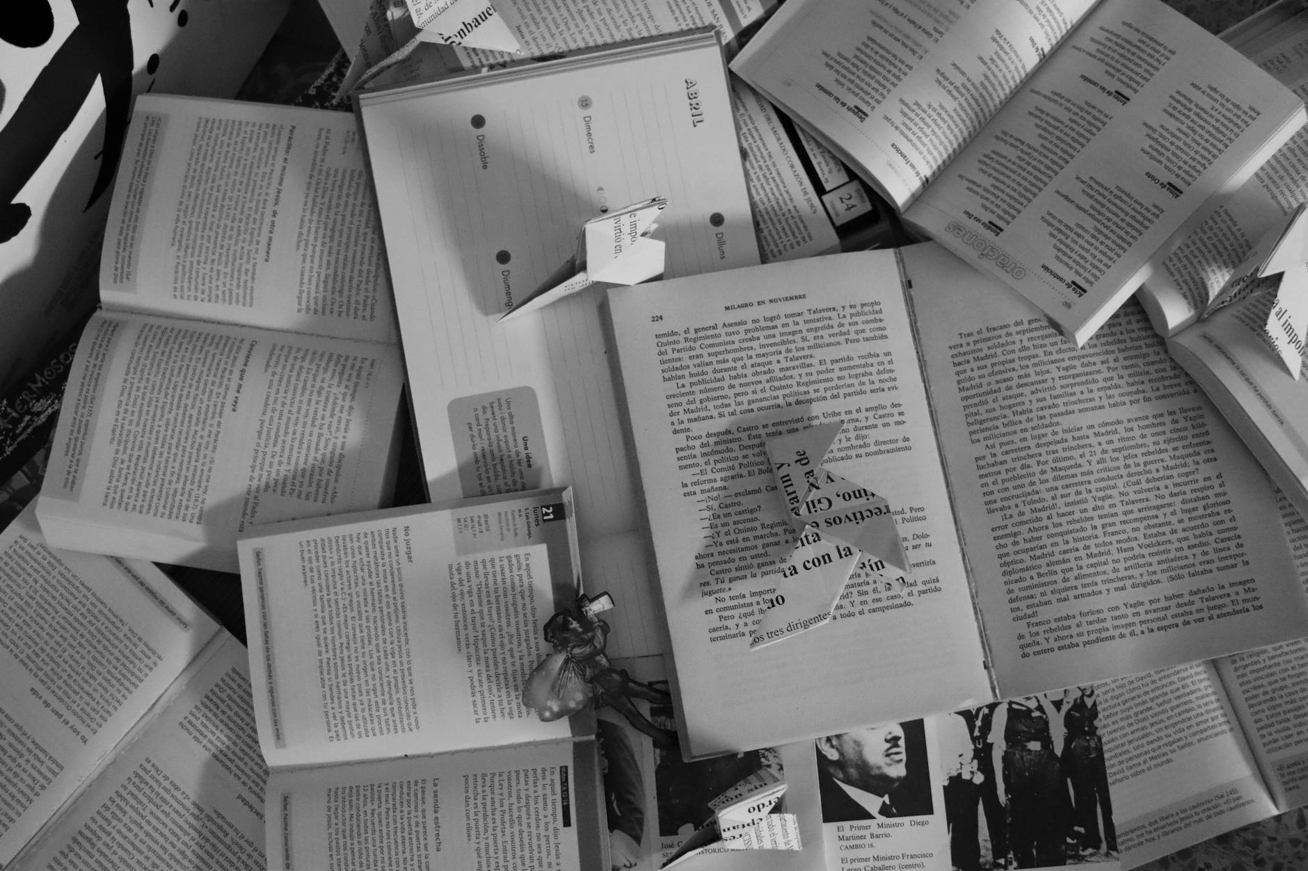 Book Week 2026 a Gorizia: tre giorni con autori e libri