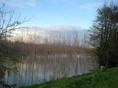 Atlante dell’Acqua 2026, Legambiente: la crisi idrica è già realtà tra clima, digitale e territori