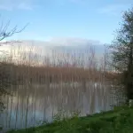 Atlante dell’Acqua 2026, Legambiente: la crisi idrica è già realtà tra clima, digitale e territori