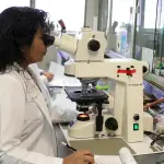 Friuli Venezia Giulia, la rete della ricerca cresce: il Sistema scientifico punta su Europa, innovazione e diplomazia